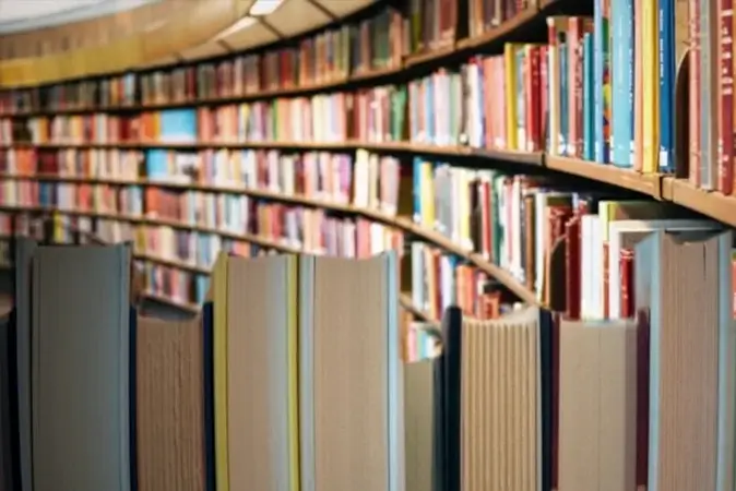 The Pioneer Publishers book cover