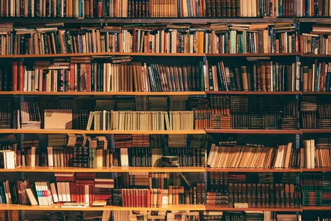 The Pioneer Publishers book cover