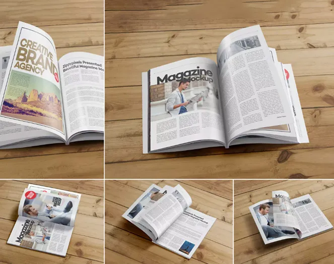 The Pioneer Publishers book cover