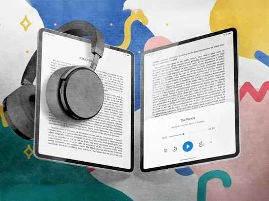 The Pioneer Publishers book cover