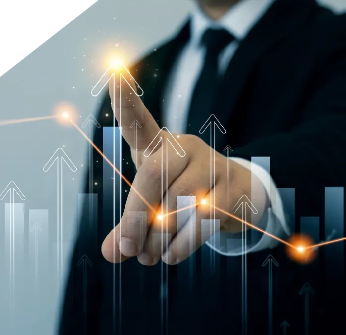 The Pioneer Publishers book cover